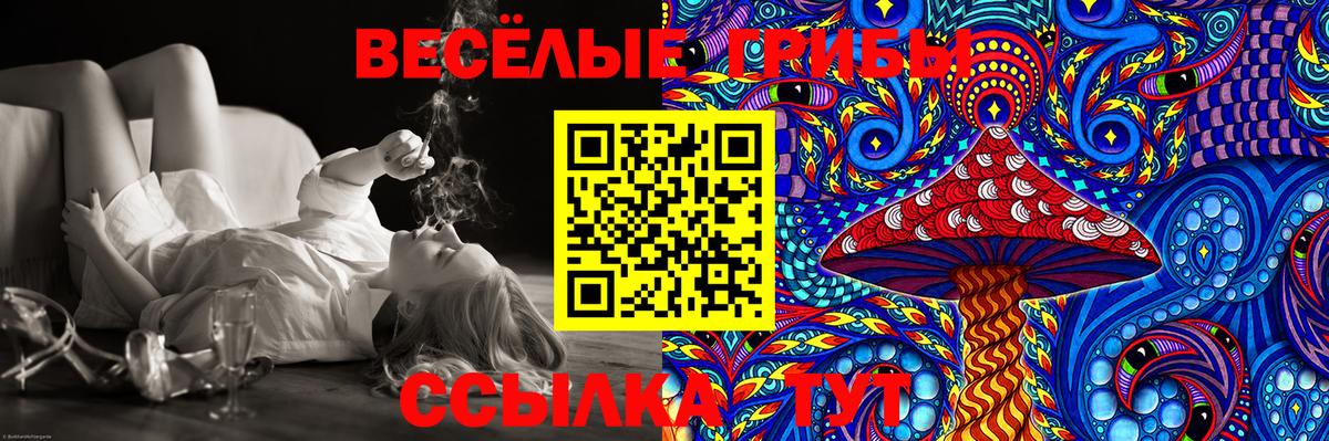 Псилоцибиновые грибы GOLDEN TEACHER Дзержинский