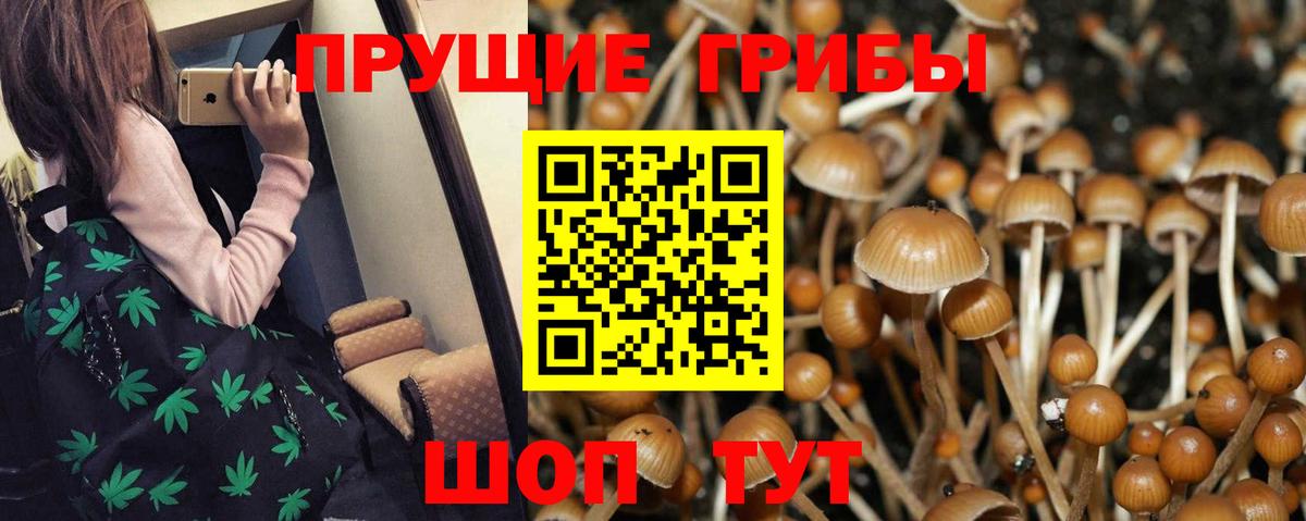 Галлюциногенные грибы GOLDEN TEACHER  Вход с VPN  Дзержинский 